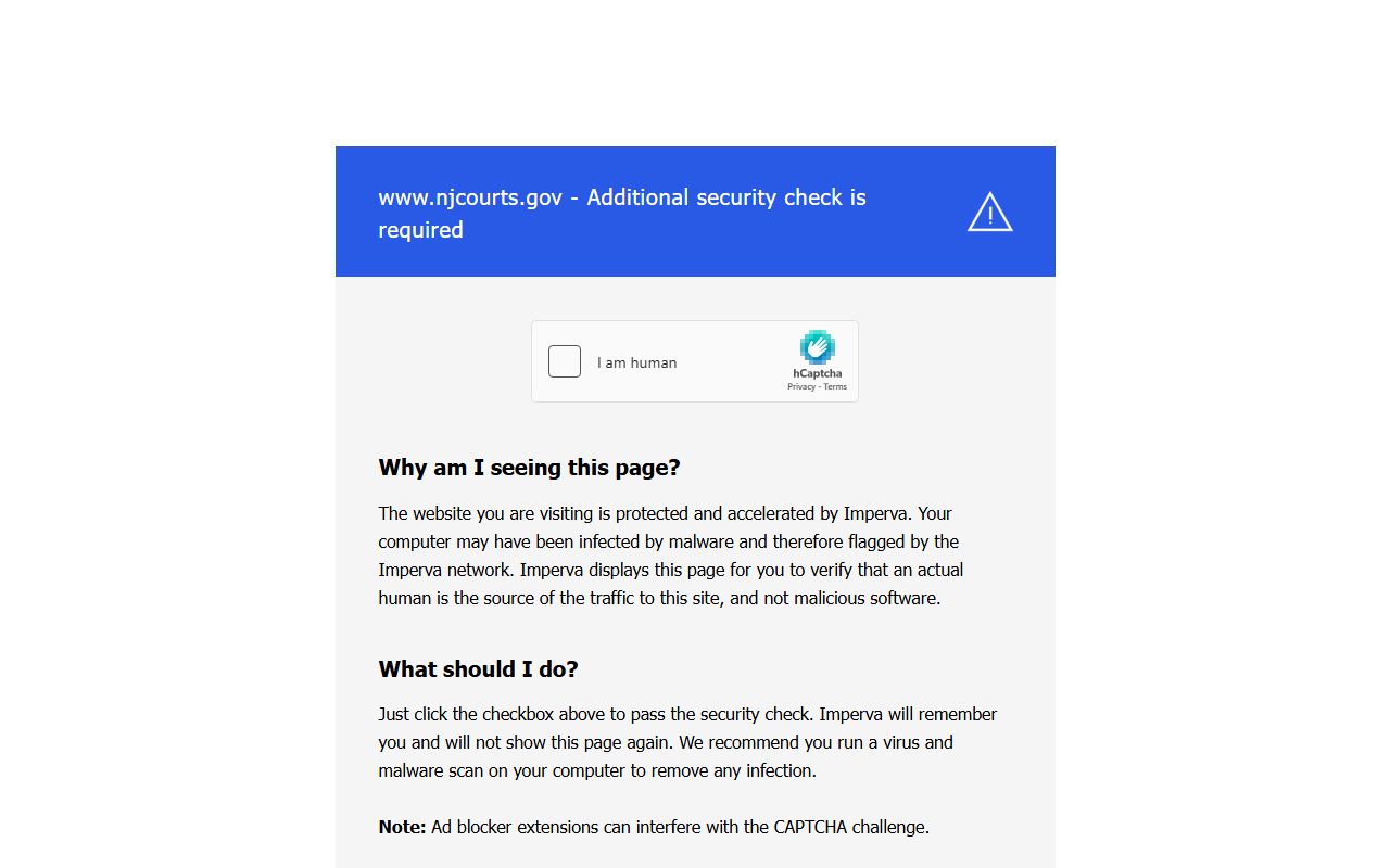 New Jersey Courts municipal court portal showing payment and case search tools